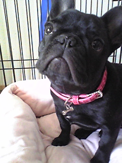 �����̃X���X�����L