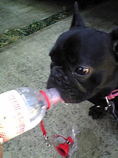 �����̃X���X�����L