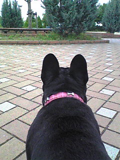 �����̃X���X�����L