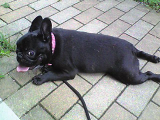 �����̃X���X�����L