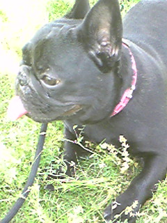 �����̃X���X�����L