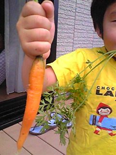 �����̃X���X�����L