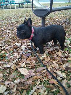 �����̃X���X�����L