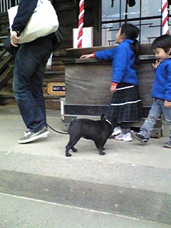 �����̃X���X�����L