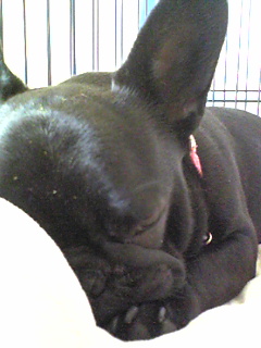 �����̃X���X�����L