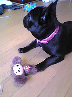 �����̃X���X�����L