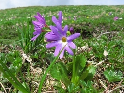 ��̕���