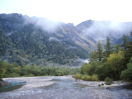 ��̕���