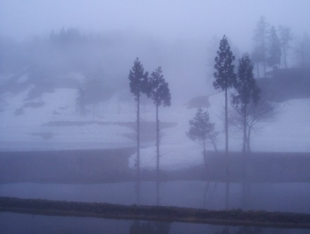 ��̕���