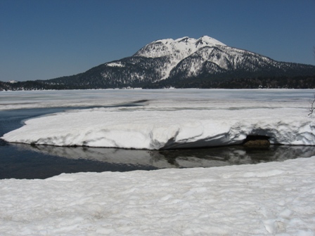 ��̕���