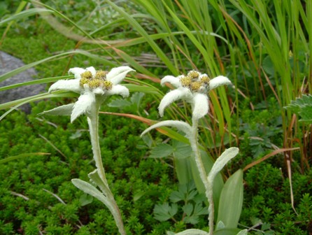 ��̕���