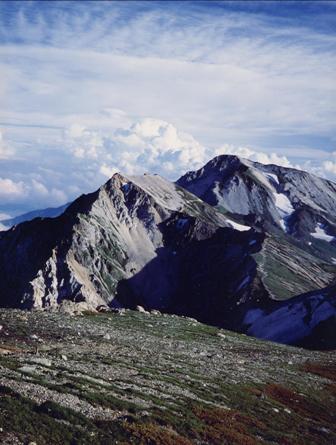 ��̕���