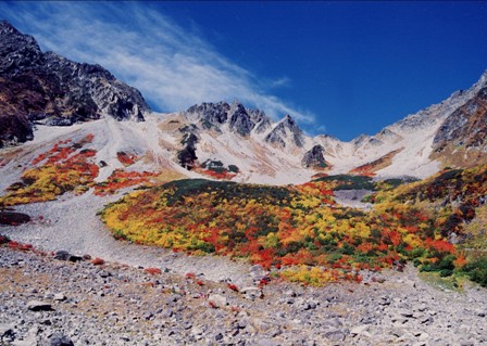 ��̕���