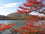 ��̕���