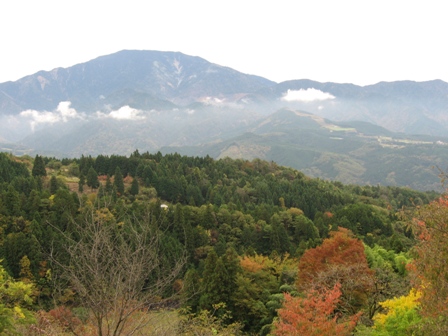 ��̕���