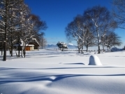 ��̕���