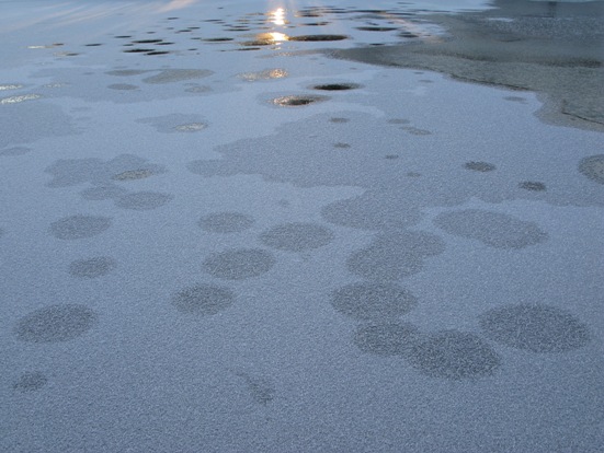 ��̕���