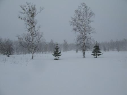 ��̕���