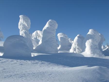 ��̕���