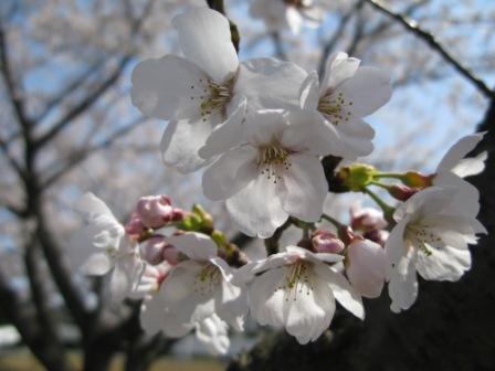 ��̕���