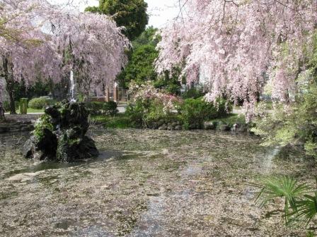 ��̕���