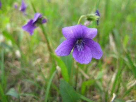 ��̕���