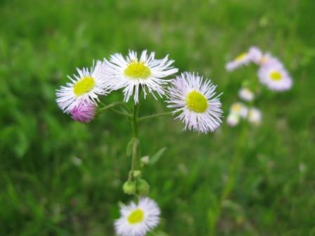 ��̕���