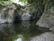 ��̕���