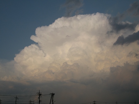 ��̕���