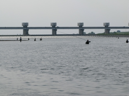 ��̕���