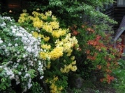 ��̕���