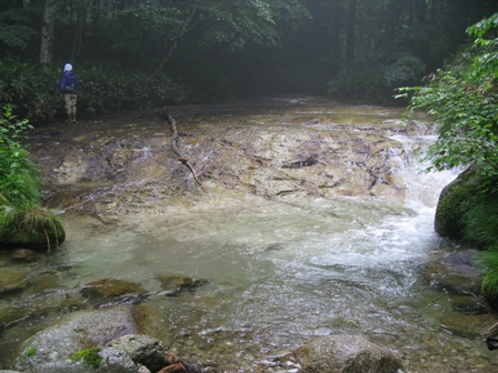 ��̕���