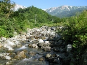 ��̕���