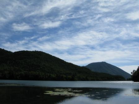 ��̕���