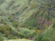 ��̕���