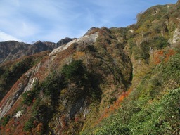 ��̕���