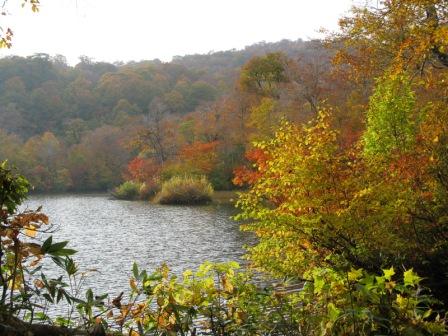 ��̕���