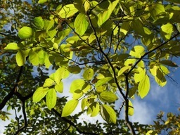 ��̕���