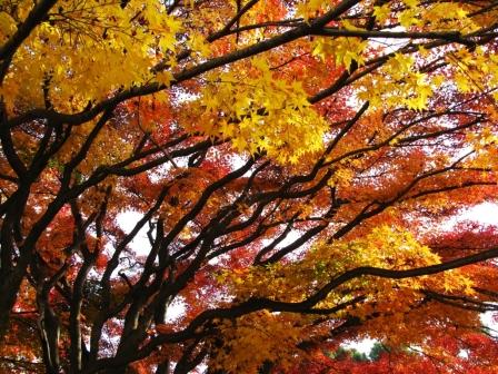 ��̕���