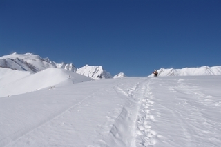 ��̕���