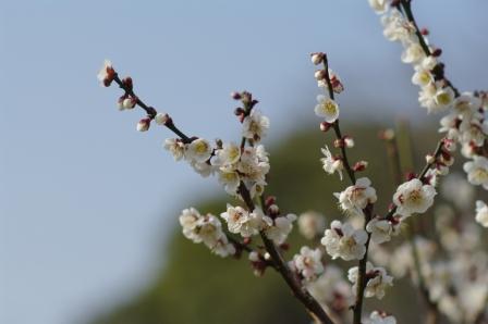 ��̕���