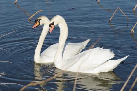 ��̕���