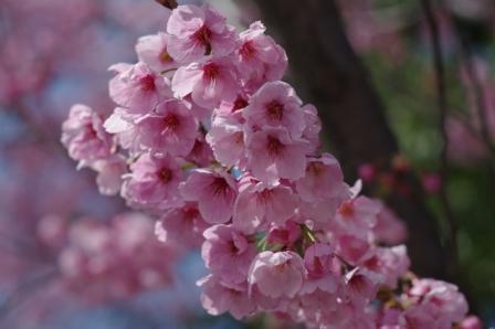 ��̕���