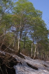 ��̕���