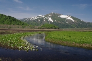 ��̕���