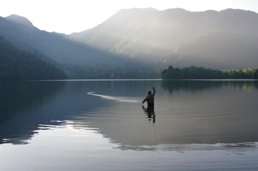 ��̕���