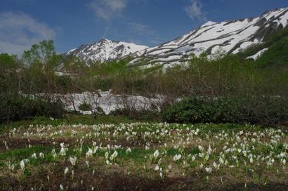 ��̕���