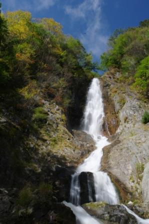 ��̕���