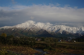 ��̕���