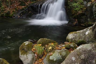 ��̕���